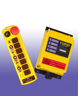 CUPID-Q100AB