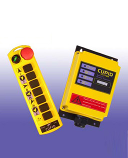 CUPID-Q100S
