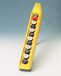 PL10